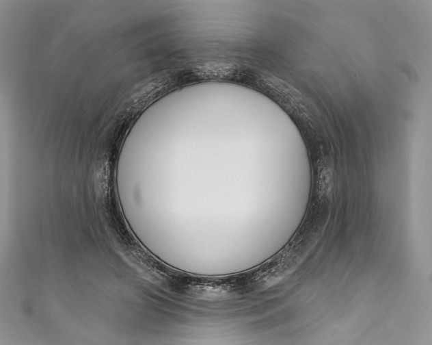 X0000110900498200907021540