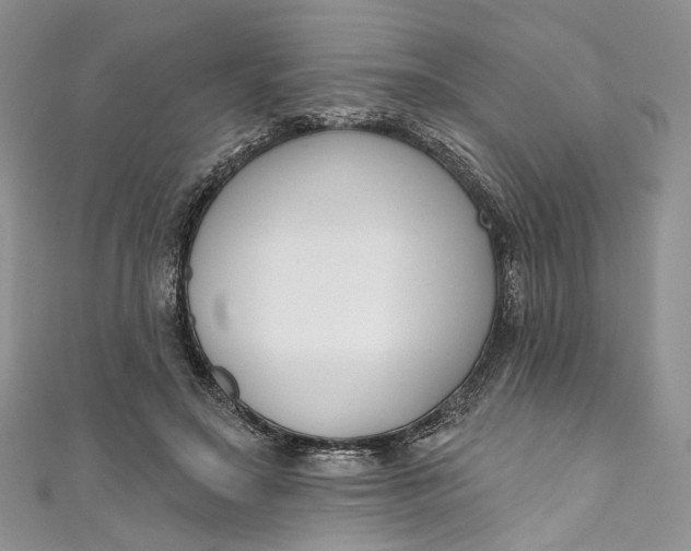 X0000110900499200907021540