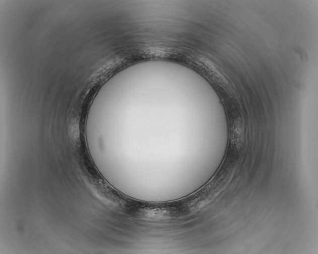 X0000110900500200907021540