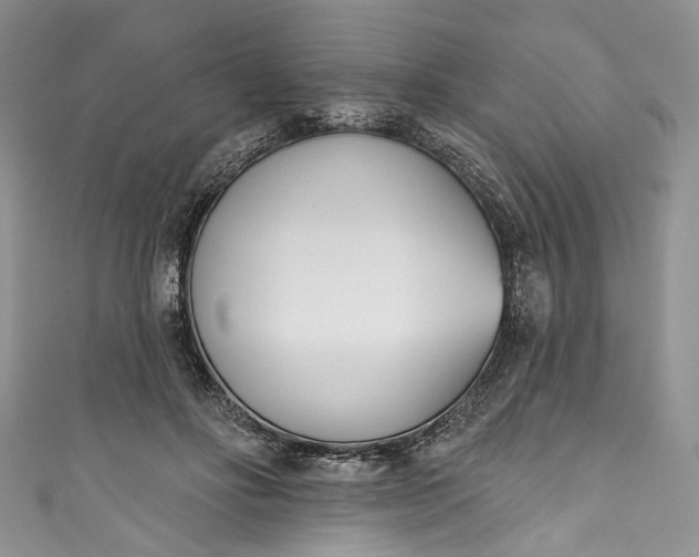 X0000110900502200907021540