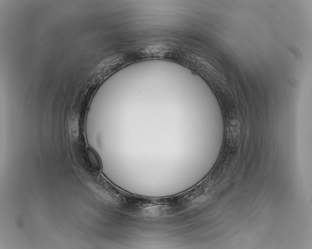 X0000110900504200907021540