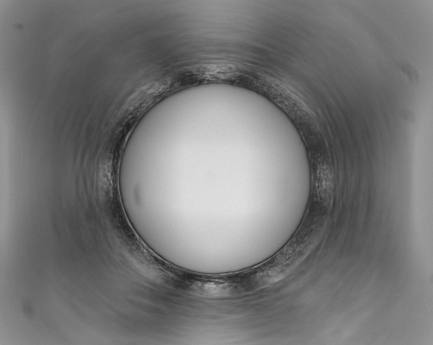 X0000110900506200907021540