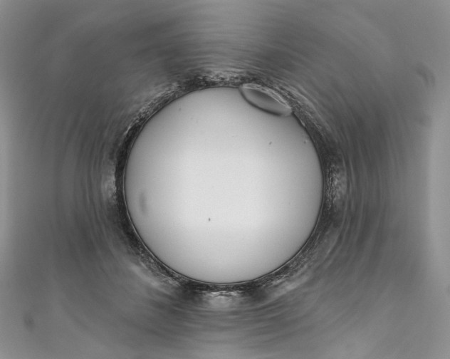 X0000110900508200907021540