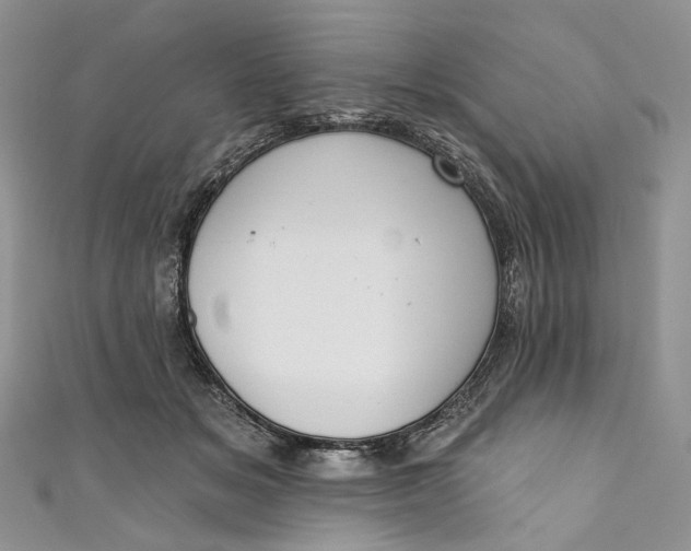 X0000110900509200907021540