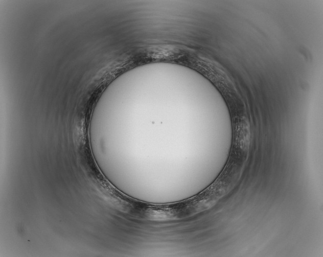 X0000110900510200907021540