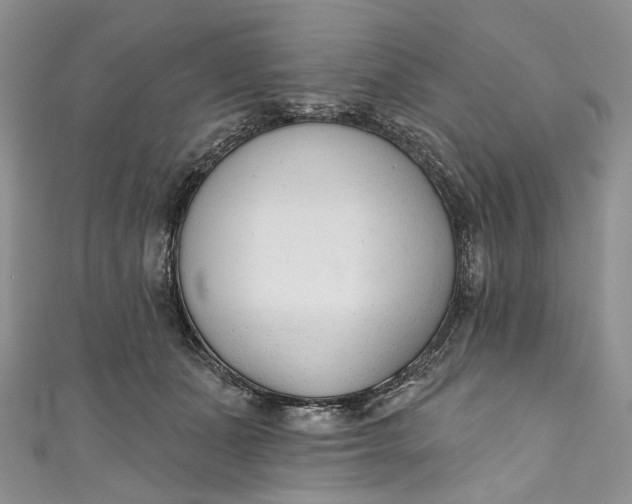 X0000110900511200907021540