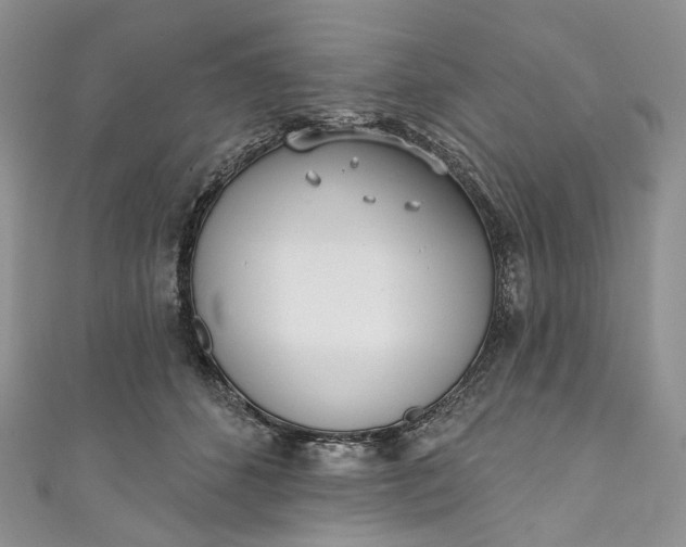 X0000110900512200907021540
