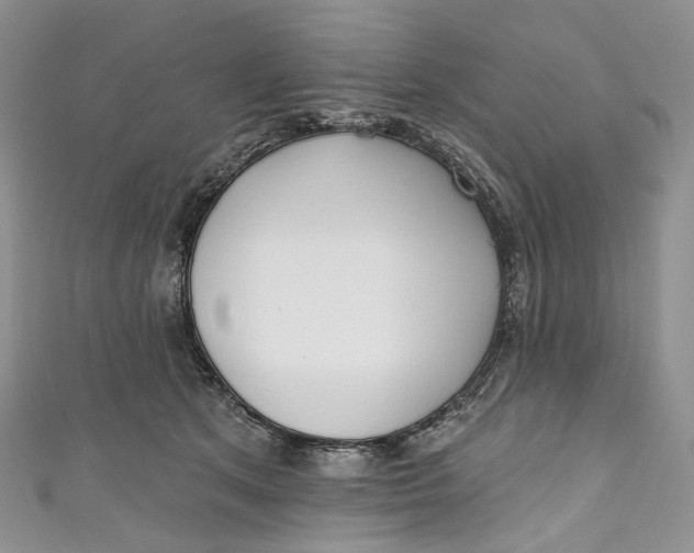 X0000110900513200907021540