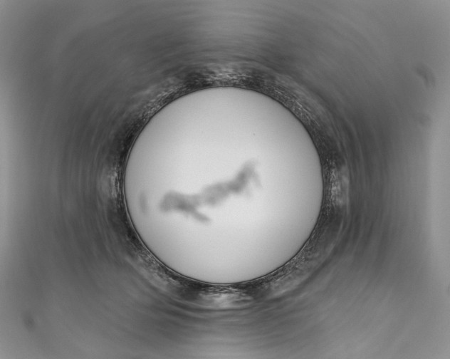 X0000110900514200907021540