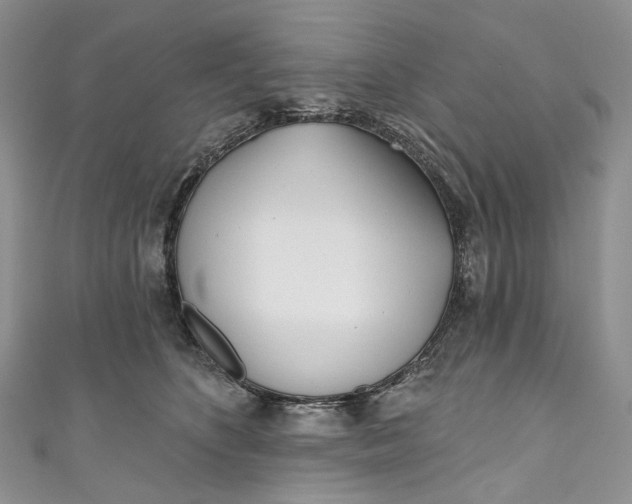 X0000110900516200907021540