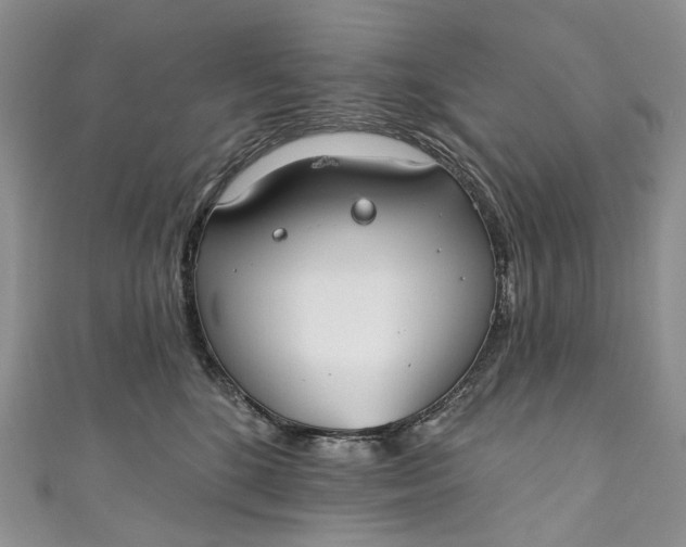 X0000110900520200907021540