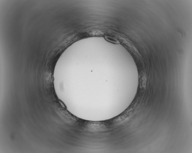 X0000110900521200907021540