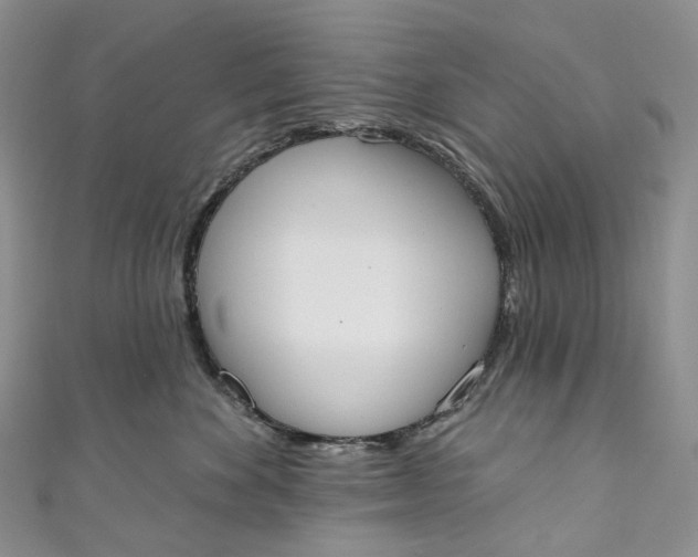 X0000110900524200907021540
