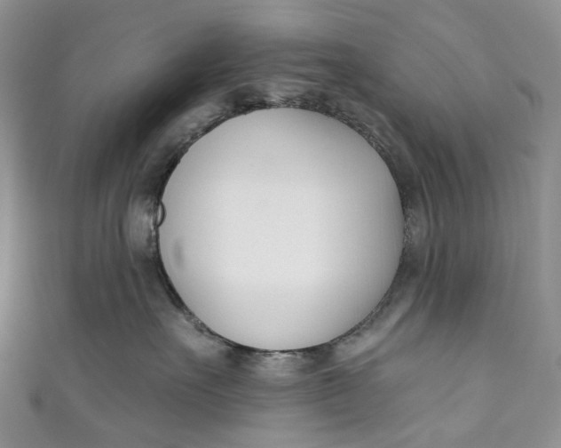 X0000110900527200907021540