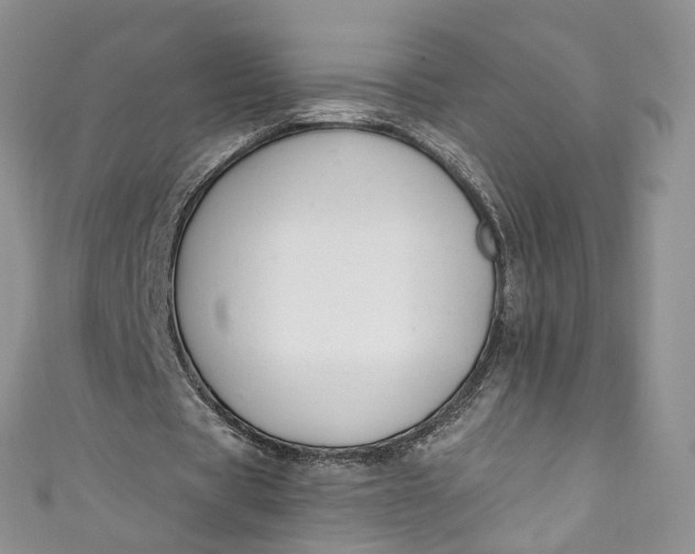 X0000110900529200907021539