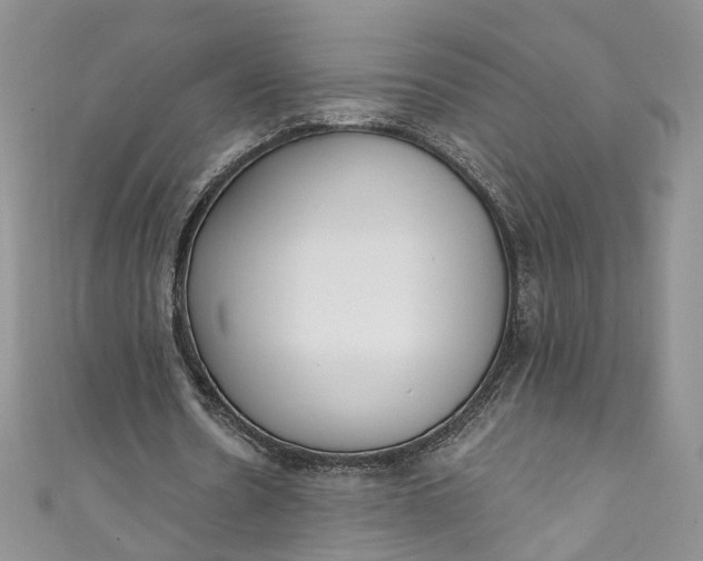 X0000110900530200907021539