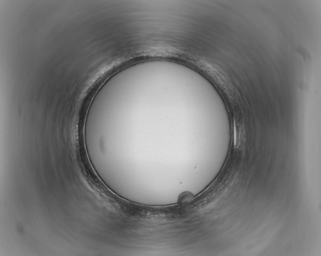 X0000110900531200907021539