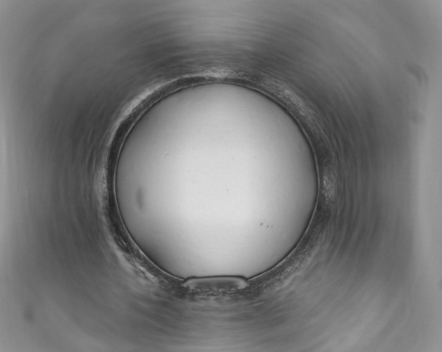 X0000110900532200907021539