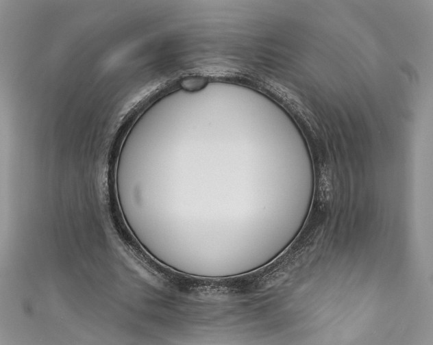 X0000110900535200907021539