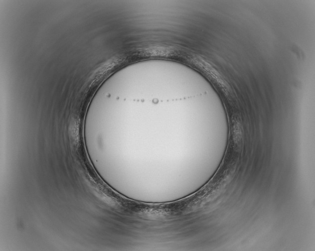 X0000110900537200907021539