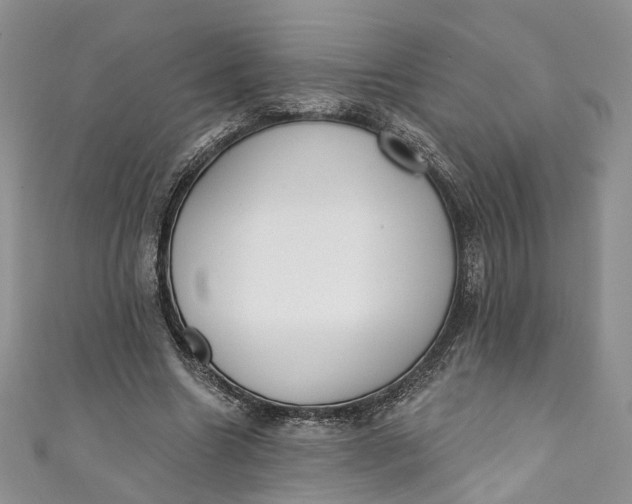X0000110900538200907021539