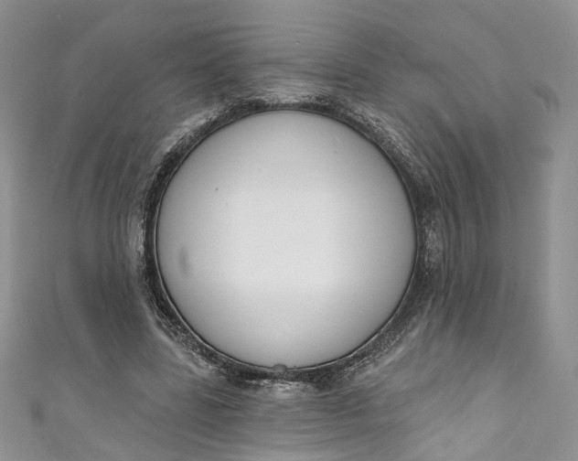 X0000110900539200907021539