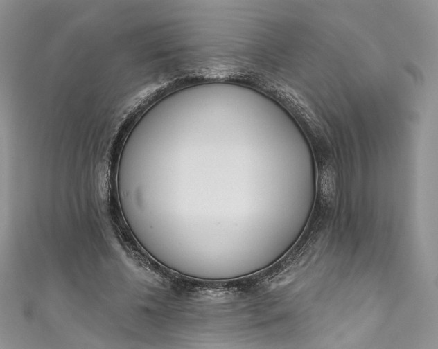 X0000110900540200907021539