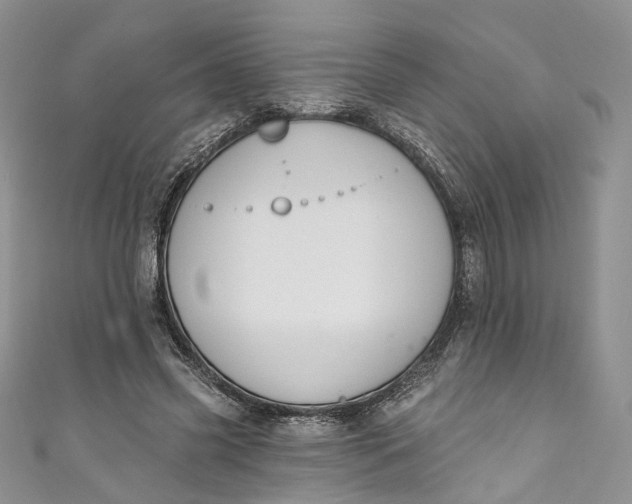 X0000110900541200907021539
