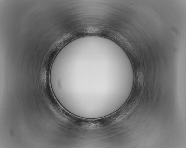 X0000110900542200907021539
