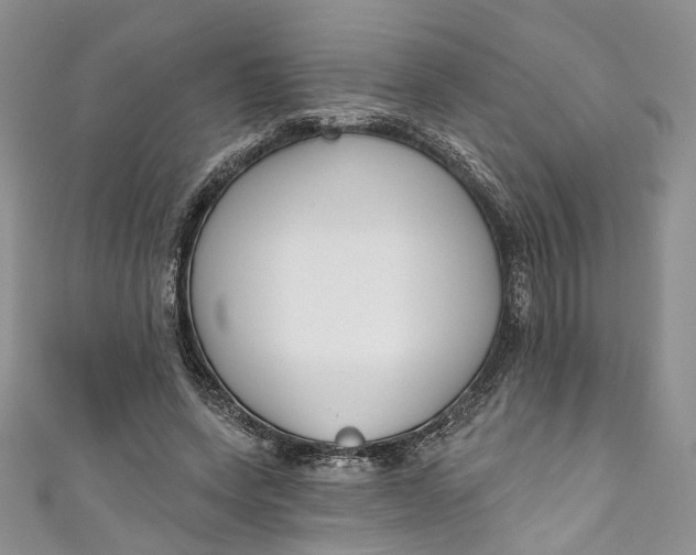 X0000110900543200907021539