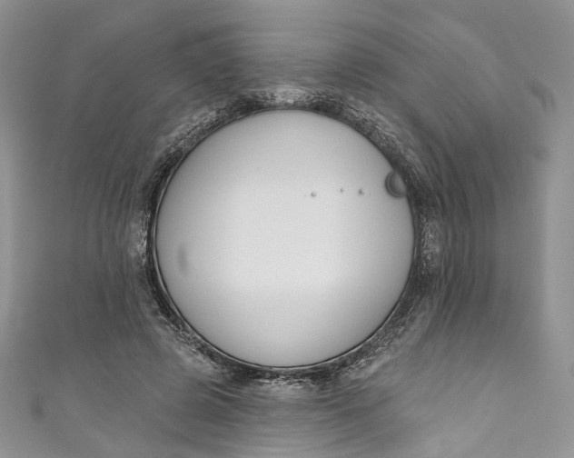 X0000110900545200907021539