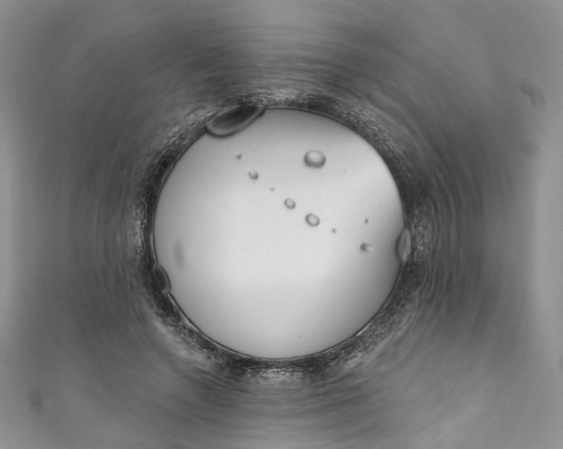 X0000110900546200907021539