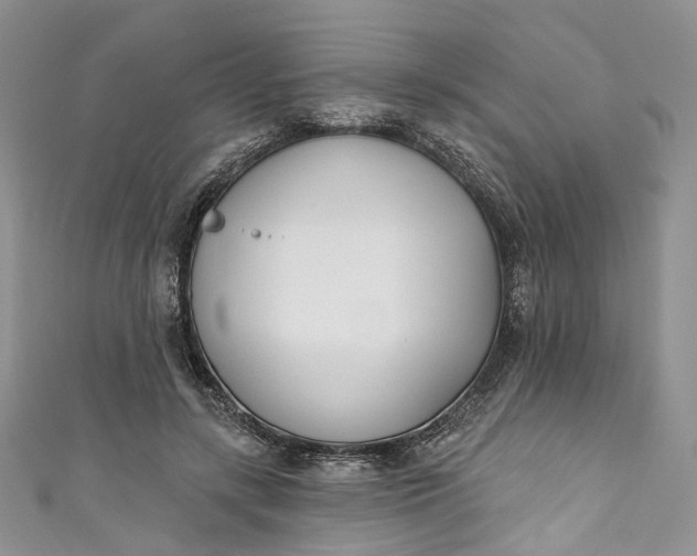 X0000110900547200907021539