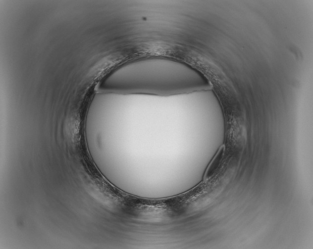 X0000110900548200907021539