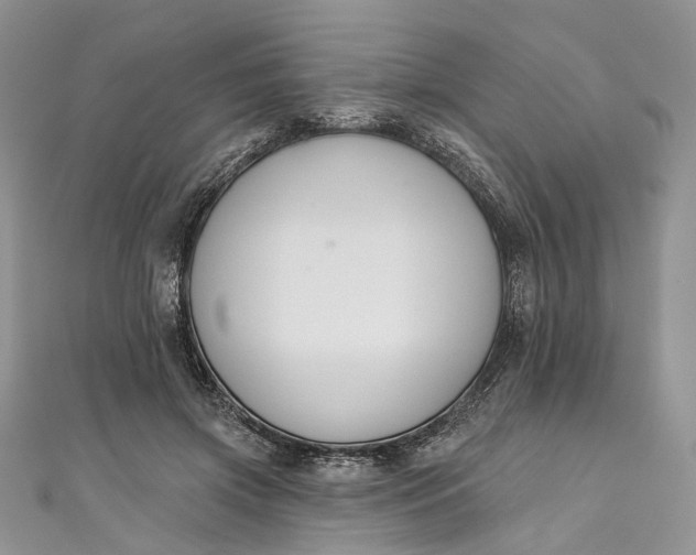 X0000110900549200907021539