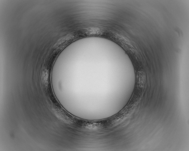 X0000110900550200907021539