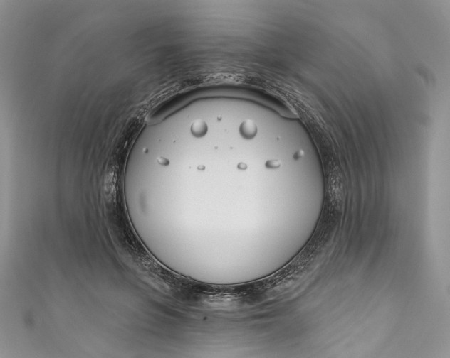 X0000110900551200907021540