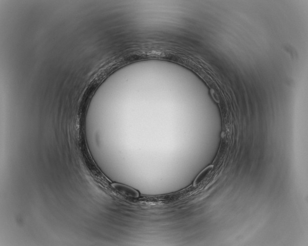 X0000110900552200907021540