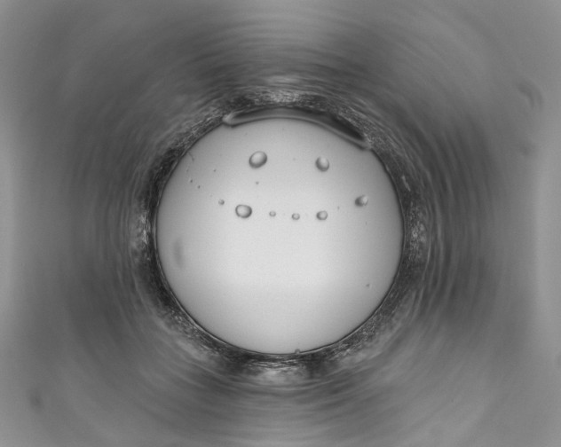 X0000110900555200907021540