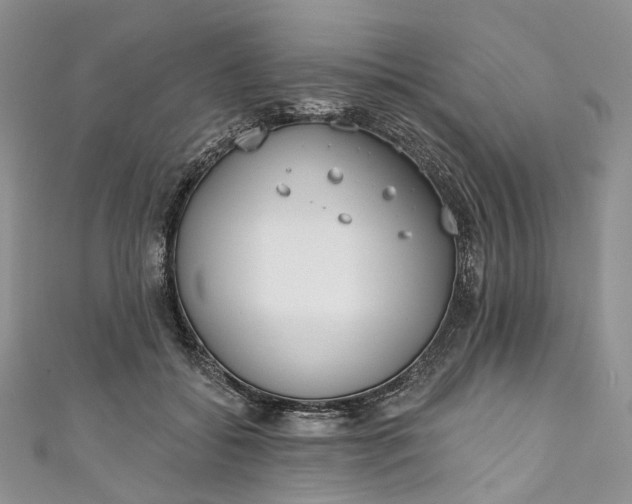 X0000110900556200907021540