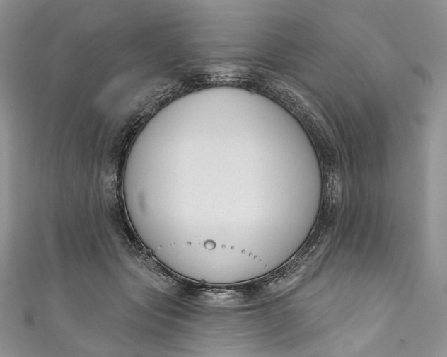 X0000110900557200907021540
