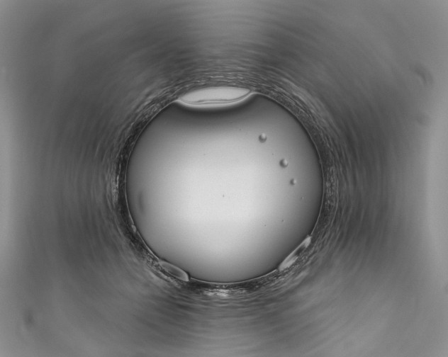 X0000110900558200907021540