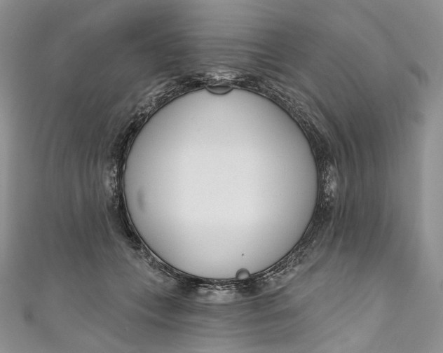 X0000110900559200907021540