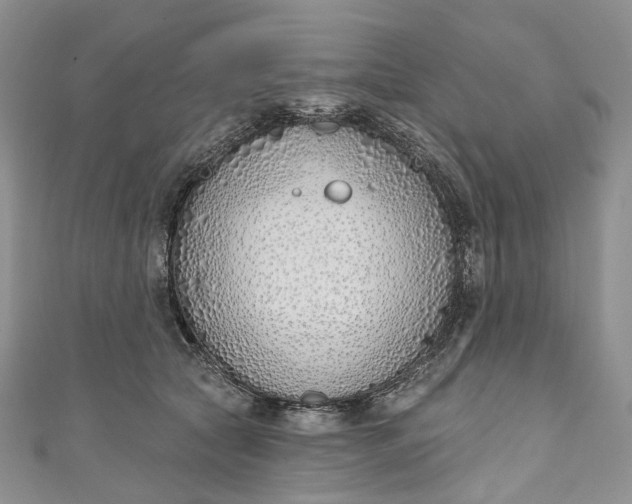 X0000110900561200907021540
