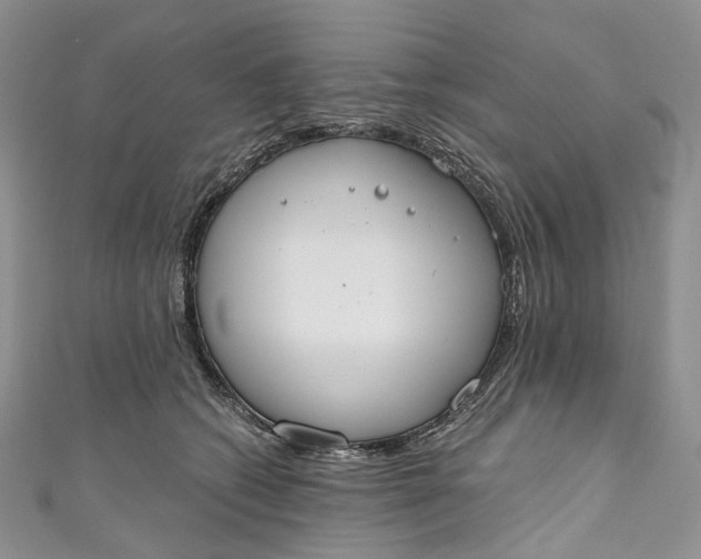 X0000110900562200907021540