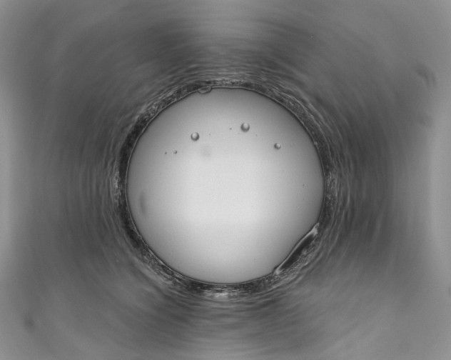 X0000110900564200907021540