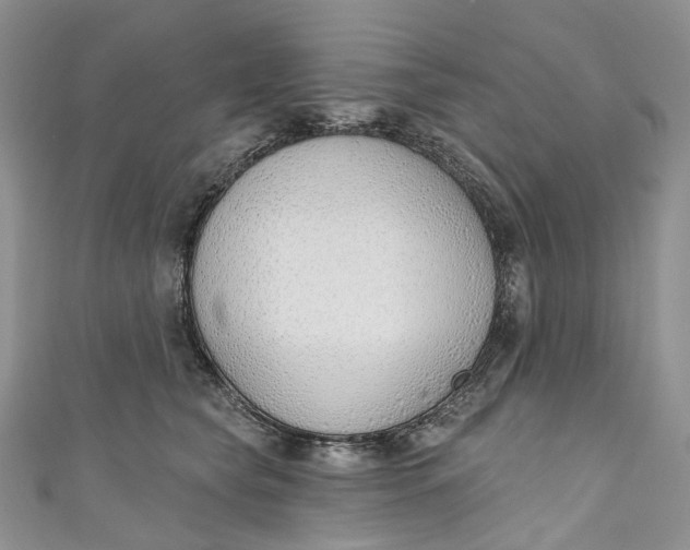 X0000110900565200907021540