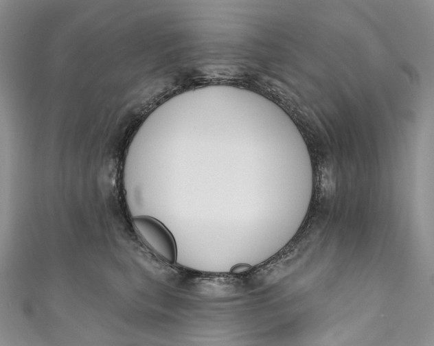 X0000110900567200907021540