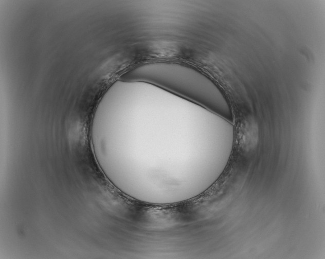 X0000110900568200907021540