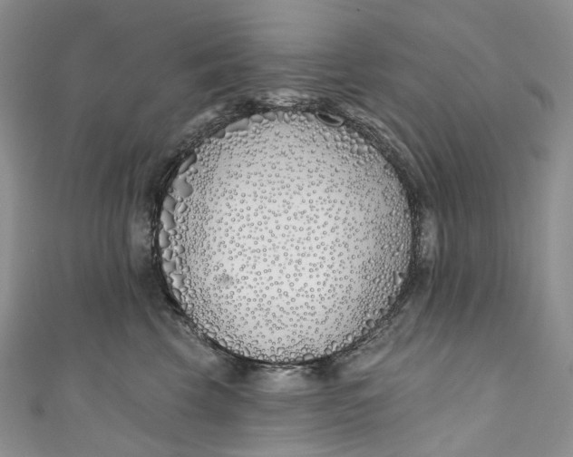X0000110900569200907021540